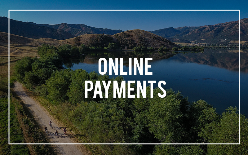 Online Payments